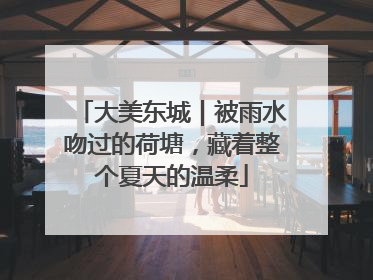 大美东城｜被雨水吻过的荷塘，藏着整个夏天的温柔
