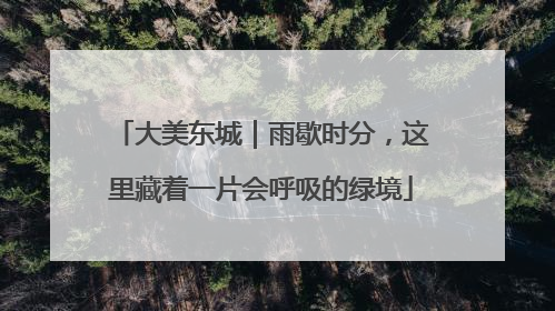 大美东城｜雨歇时分，这里藏着一片会呼吸的绿境