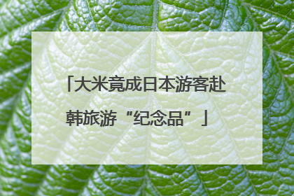 大米竟成日本游客赴韩旅游“纪念品”