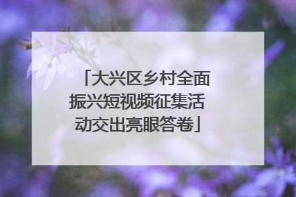 大兴区乡村全面振兴短视频征集活动交出亮眼答卷