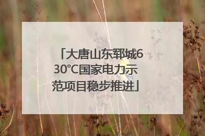 大唐山东郓城630℃国家电力示范项目稳步推进