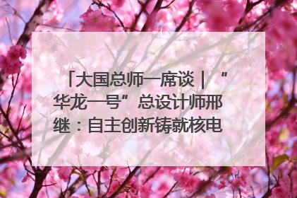 大国总师一席谈｜“华龙一号”总设计师邢继：自主创新铸就核电“国家名片”