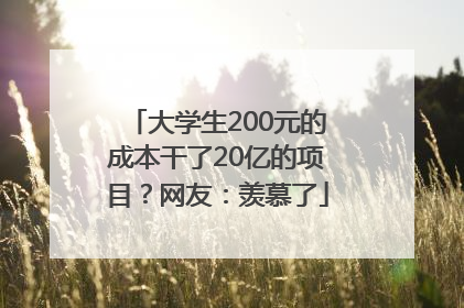 大学生200元的成本干了20亿的项目？网友：羡慕了
