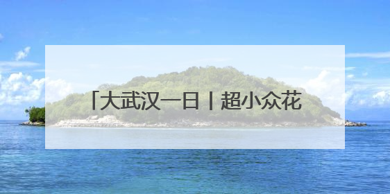 大武汉一日丨超小众花海，人少景美还免费