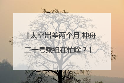 太空出差两个月 神舟二十号乘组在忙啥？