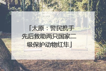 太原：警民携手 先后救助两只国家二级保护动物红隼
