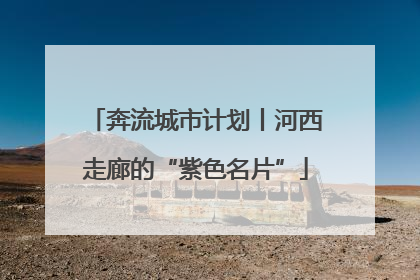 奔流城市计划丨河西走廊的“紫色名片”
