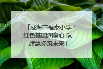 威海市福泰小学：红色基因润童心 队旗飘扬筑未来