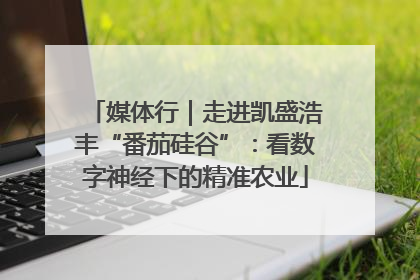 媒体行｜走进凯盛浩丰“番茄硅谷”：看数字神经下的精准农业