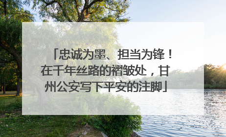 忠诚为墨、担当为锋！在千年丝路的褶皱处，甘州公安写下平安的注脚