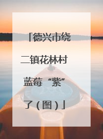 德兴市绕二镇花林村蓝莓“紫”了（图）