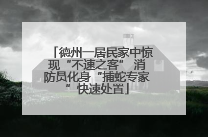 德州一居民家中惊现“不速之客” 消防员化身“捕蛇专家”快速处置