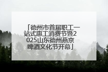 德州市首届职工一站式惠工消费节暨2025山东德州燕京啤酒文化节开幕