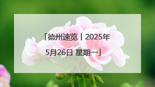 德州速览丨2025年5月26日 星期一