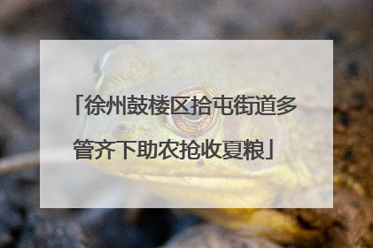 徐州鼓楼区拾屯街道多管齐下助农抢收夏粮