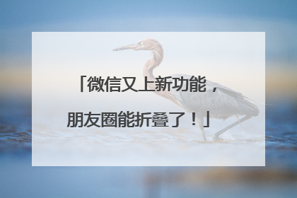 微信又上新功能，朋友圈能折叠了！