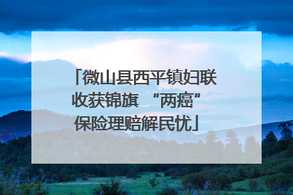 微山县西平镇妇联收获锦旗 “两癌”保险理赔解民忧