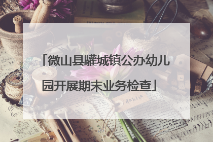 微山县驩城镇公办幼儿园开展期末业务检查