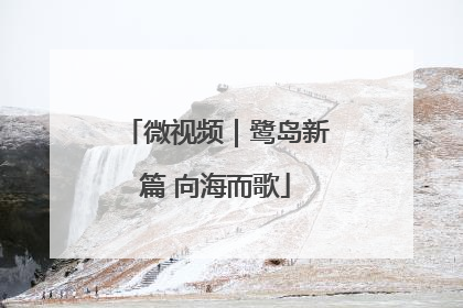 微视频｜鹭岛新篇 向海而歌