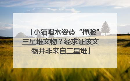 小猫喝水姿势“撞脸”三星堆文物？经求证该文物并非来自三星堆