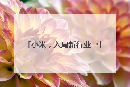 小米，入局新行业→