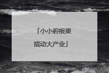 小小碧根果撬动大产业