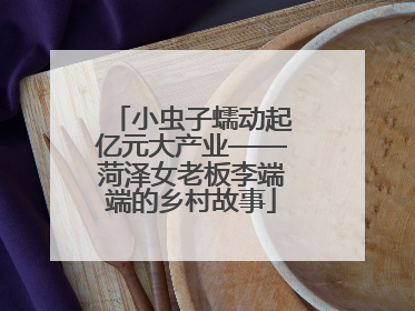 小虫子蠕动起亿元大产业——菏泽女老板李端端的乡村故事
