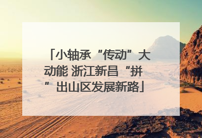 小轴承“传动”大动能 浙江新昌“拼”出山区发展新路