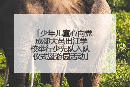 少年儿童心向党 成都大邑出江学校举行少先队入队仪式暨游园活动