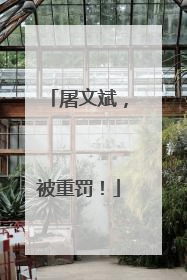 屠文斌，被重罚！