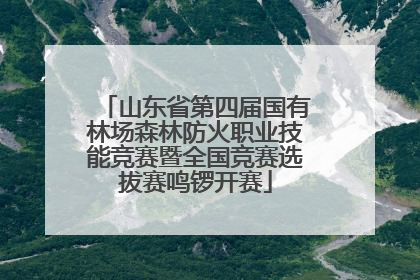 山东省第四届国有林场森林防火职业技能竞赛暨全国竞赛选拔赛鸣锣开赛
