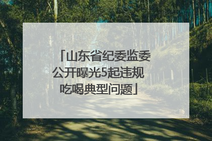 山东省纪委监委公开曝光5起违规吃喝典型问题