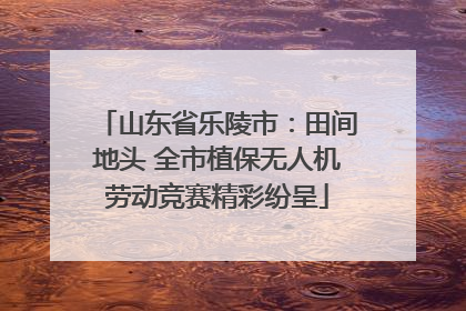 山东省乐陵市：田间地头 全市植保无人机劳动竞赛精彩纷呈
