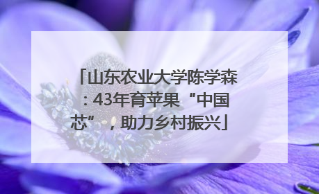 山东农业大学陈学森：43年育苹果“中国芯”，助力乡村振兴