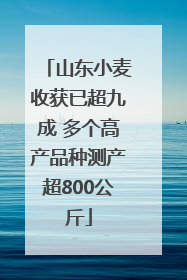 山东小麦收获已超九成 多个高产品种测产超800公斤