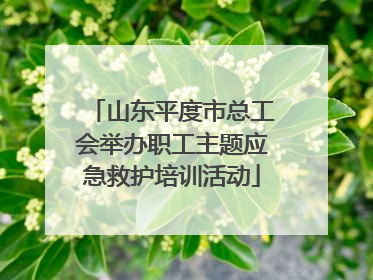 山东平度市总工会举办职工主题应急救护培训活动