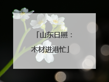 山东日照：木材进港忙