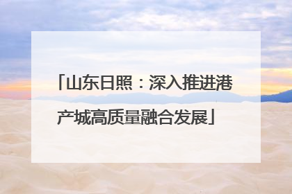 山东日照：深入推进港产城高质量融合发展