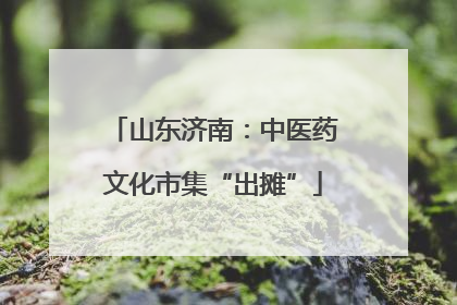 山东济南：中医药文化市集“出摊”