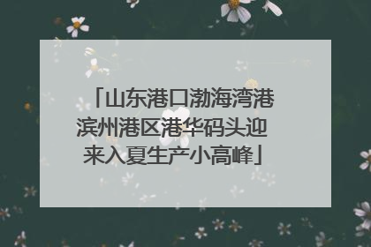 山东港口渤海湾港滨州港区港华码头迎来入夏生产小高峰