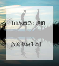 山东青岛：增殖放流 修复生态