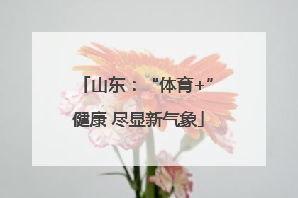 山东：“体育+”健康 尽显新气象