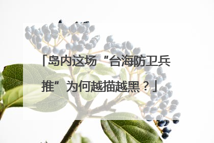 岛内这场“台海防卫兵推”为何越描越黑？