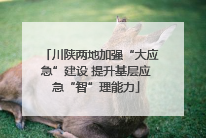 川陕两地加强“大应急”建设 提升基层应急“智”理能力