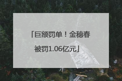 巨额罚单！金穗春被罚1.06亿元