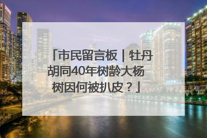 市民留言板｜牡丹胡同40年树龄大杨树因何被扒皮？
