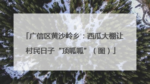 广信区黄沙岭乡：西瓜大棚让村民日子“顶呱呱”（图）