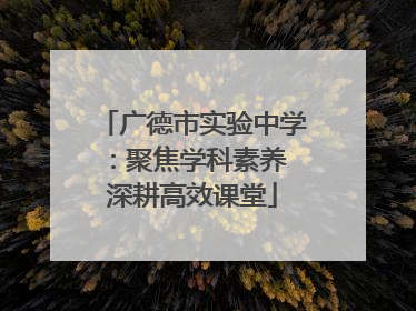 广德市实验中学：聚焦学科素养 深耕高效课堂