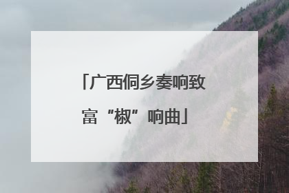 广西侗乡奏响致富“椒”响曲