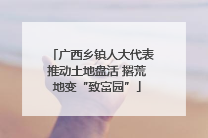 广西乡镇人大代表推动土地盘活 撂荒地变“致富园”